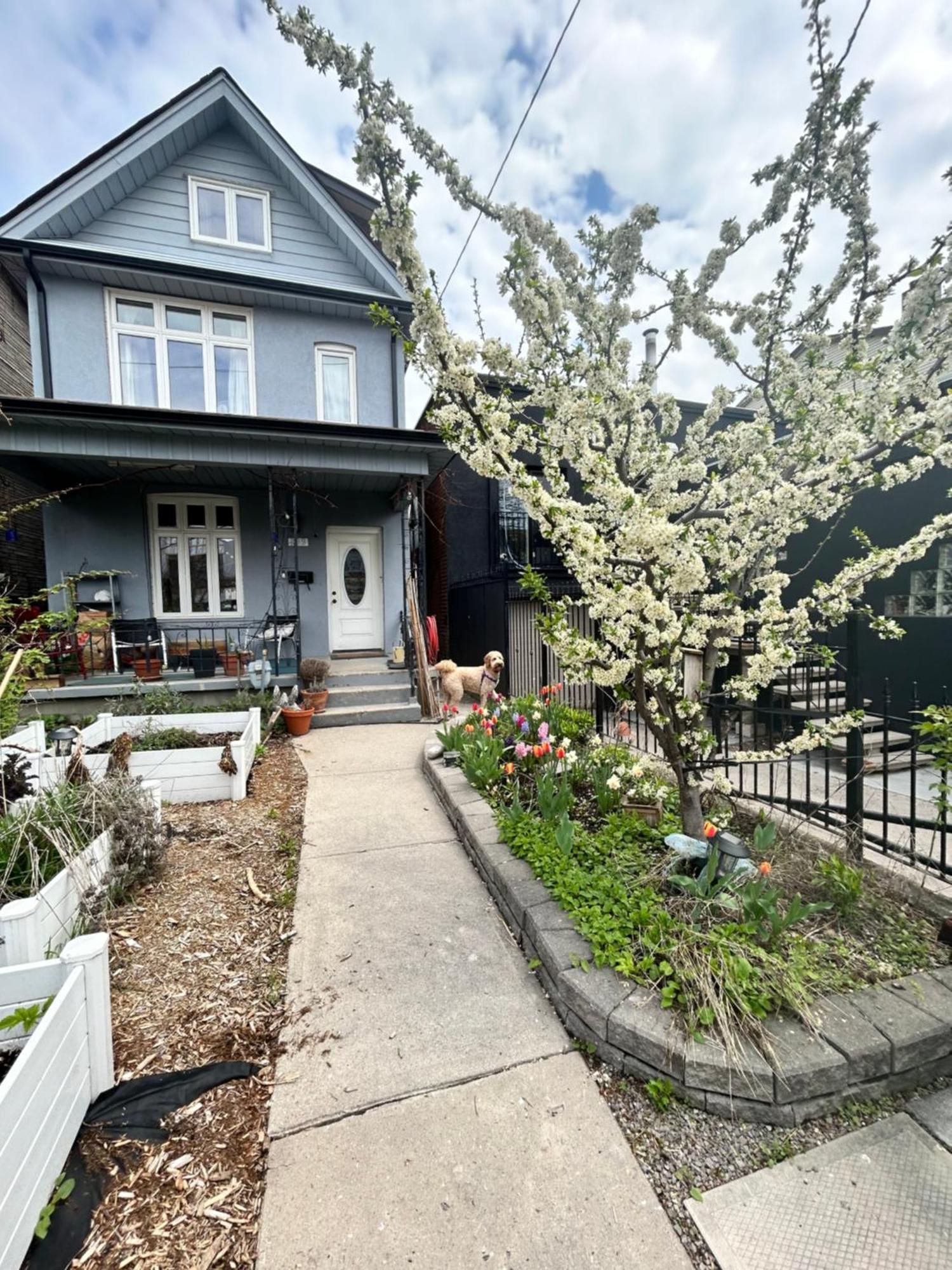 Garden Oasis Villa Toronto Dış mekan fotoğraf